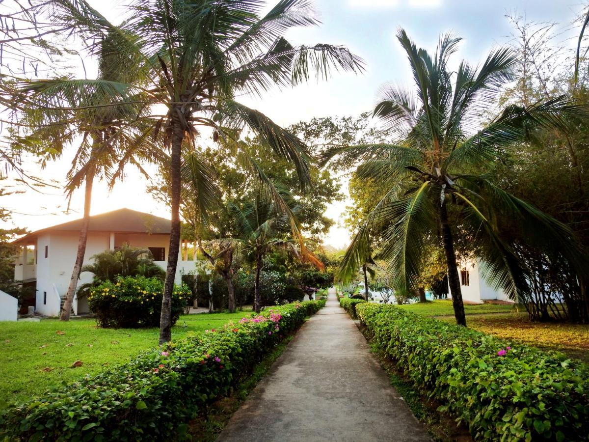 Gecko Resort Watamu Dış mekan fotoğraf