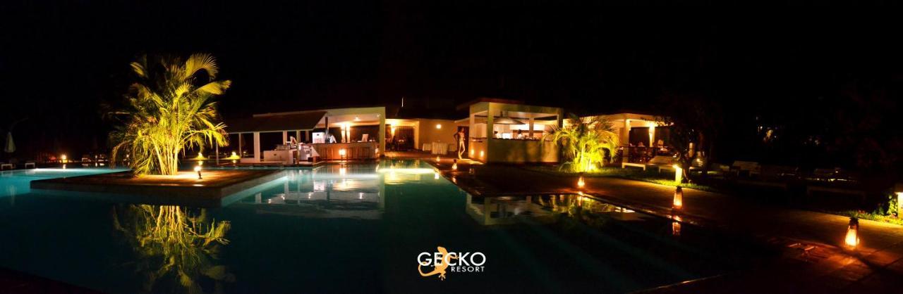 Gecko Resort Watamu Dış mekan fotoğraf